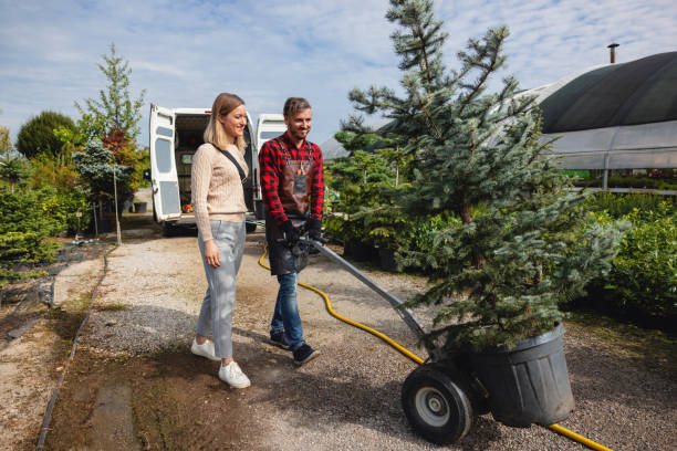 How Our Tree Care Process Works  in  Horse Pasture, VA